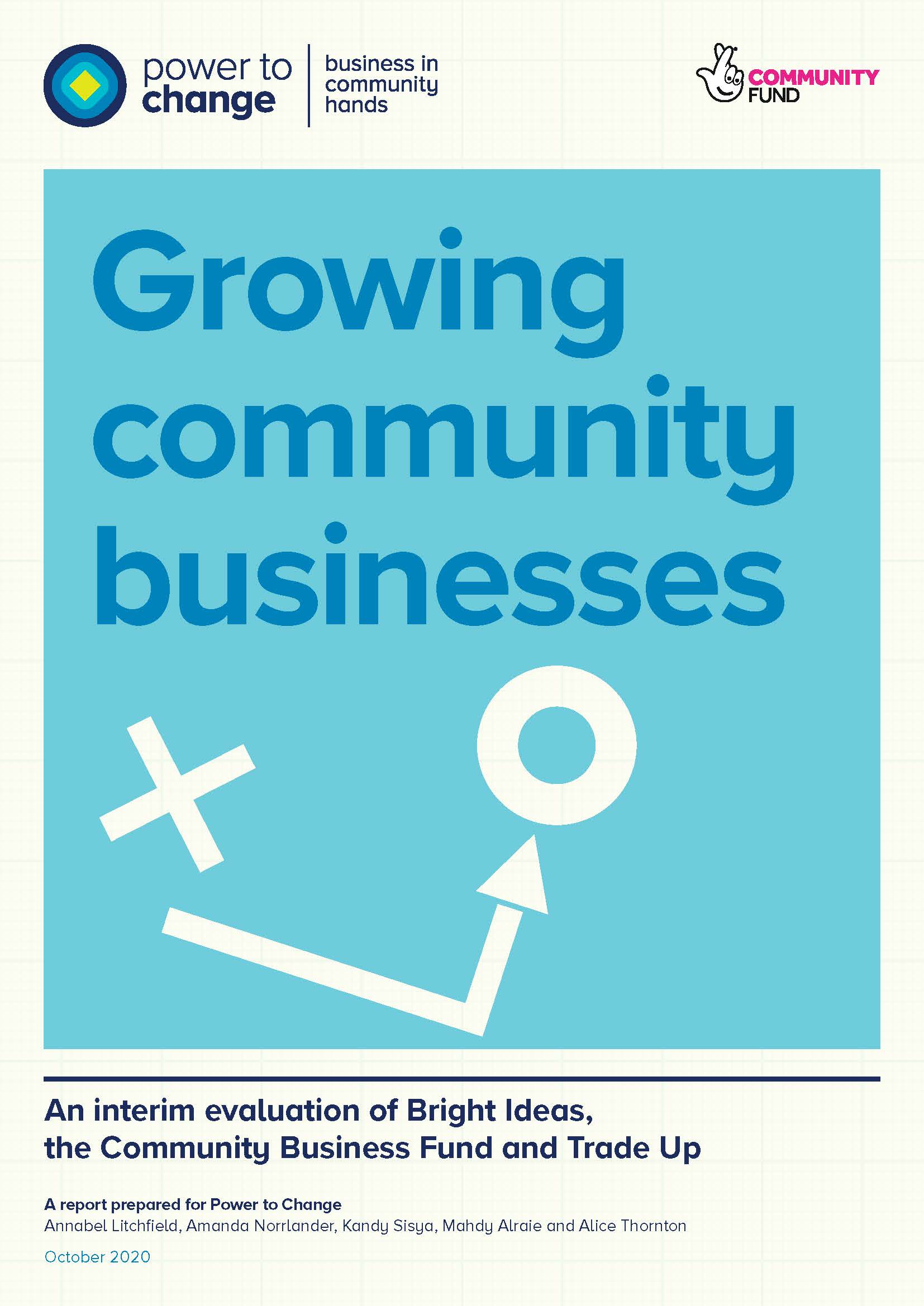 Growing community businesses: An interim evaluation of Bright Ideas, the Community Business Fund and Trade Up