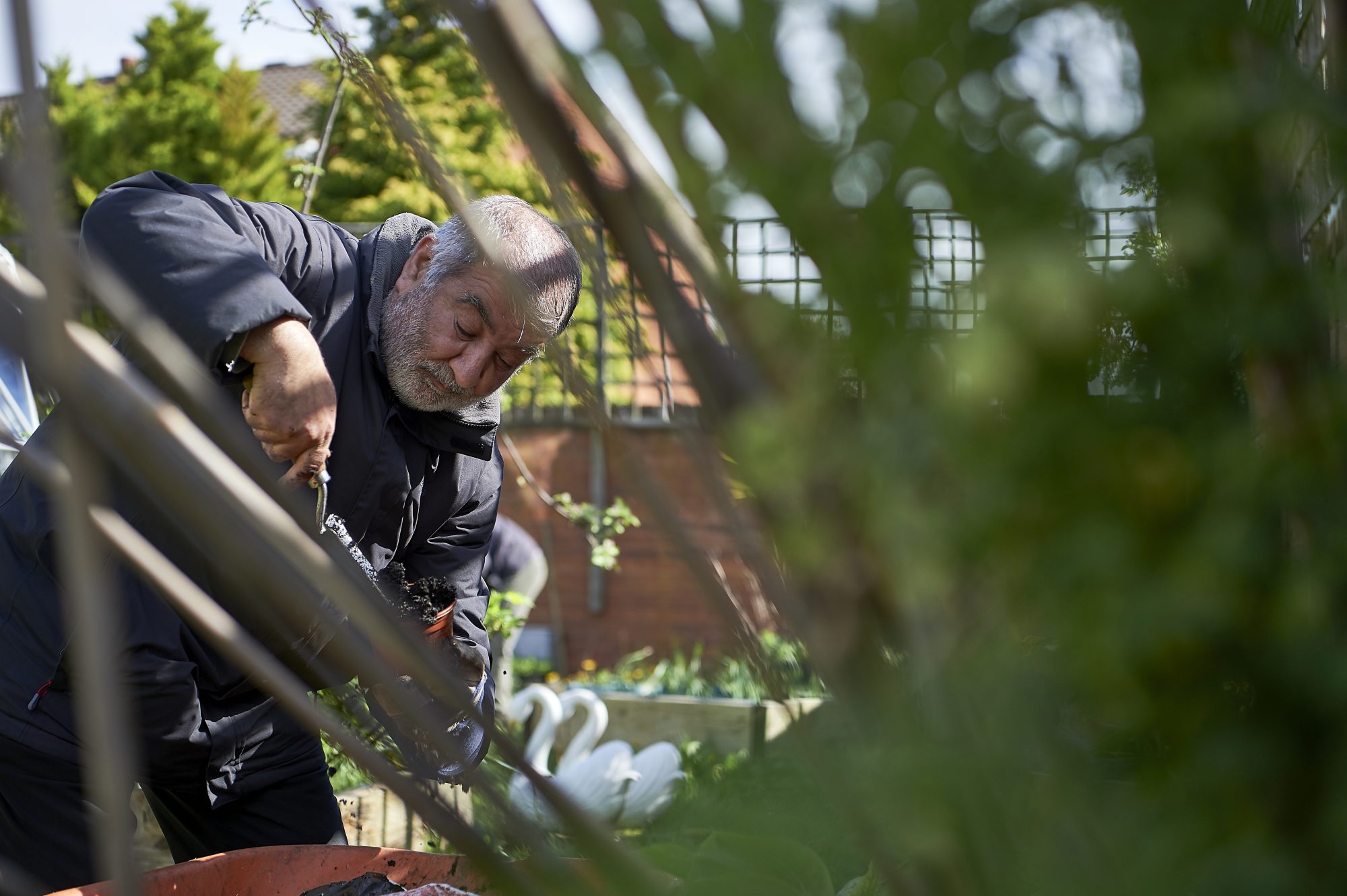 Sustainable regeneration: Looking back and moving forward